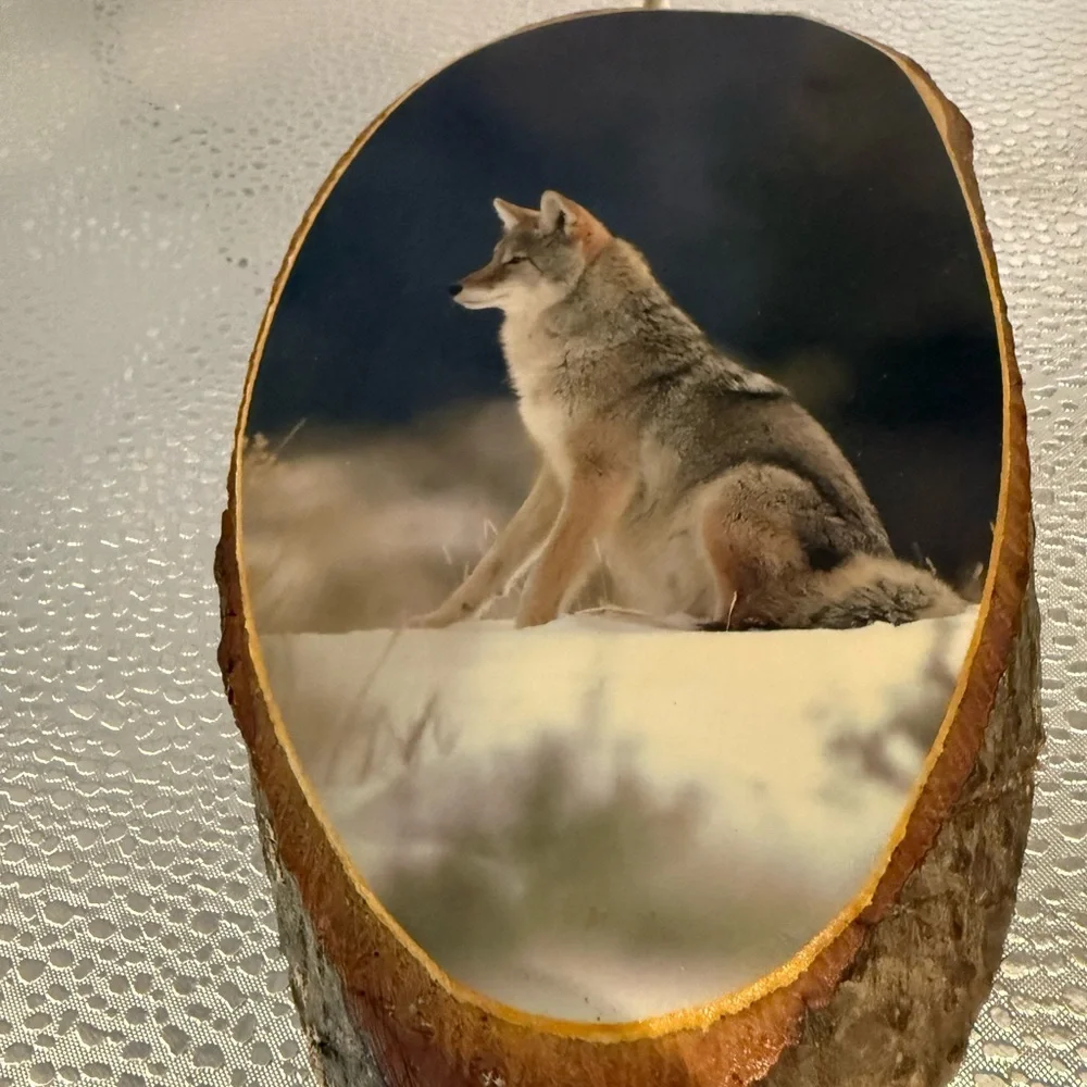 Rustic Wolf Wall Art on Wood Slice